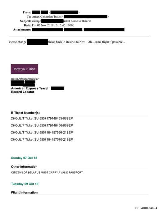 Preview of EFTA00484894