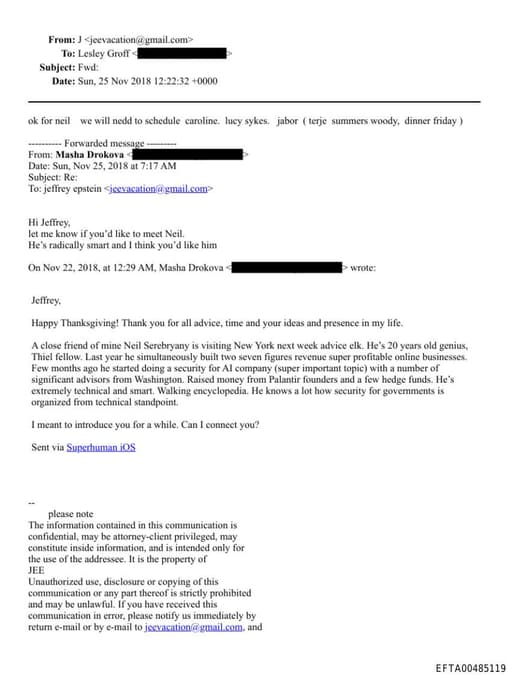 Preview of EFTA00485119