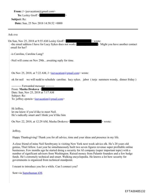 Preview of EFTA00485132