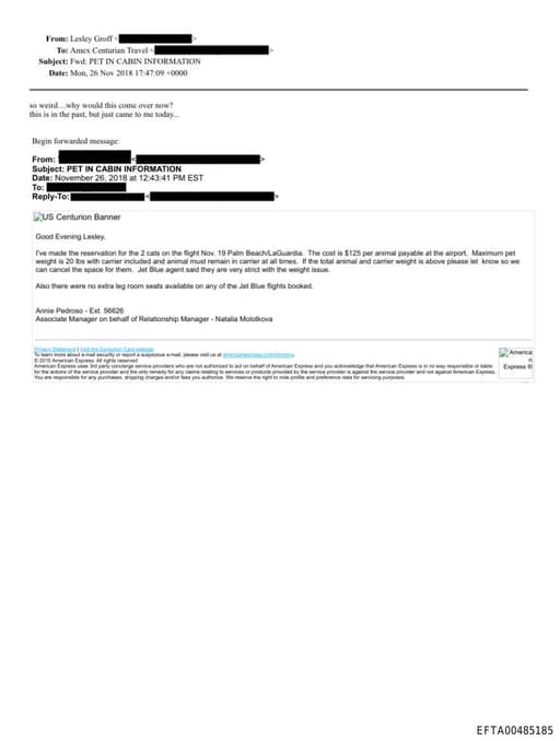 Preview of EFTA00485185