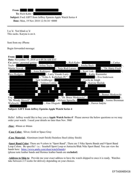 Preview of EFTA00485416