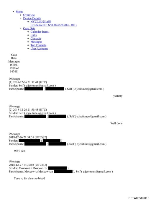 Preview of EFTA00509013