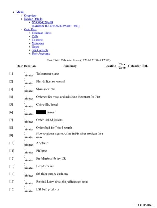 Preview of EFTA00510460