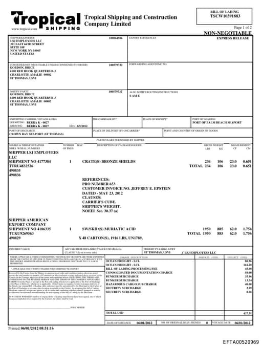 Preview of EFTA00520969