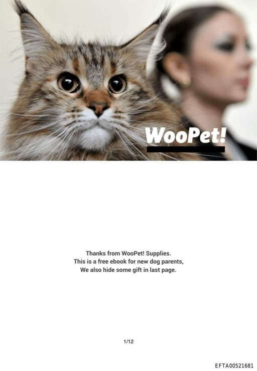 Preview of EFTA00521681