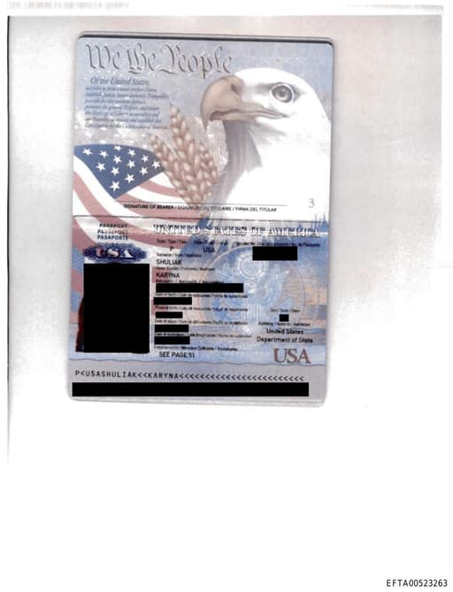 Preview of EFTA00523263