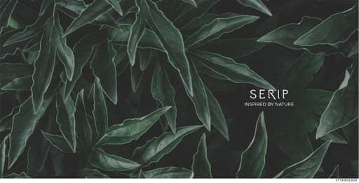 Preview of EFTA00523835