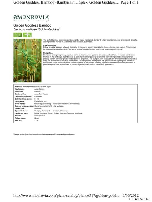 Preview of EFTA00525325