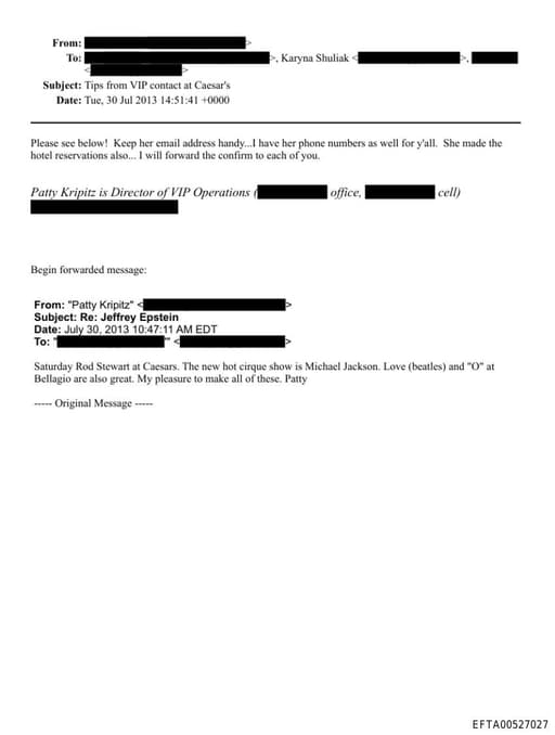 Preview of EFTA00527027