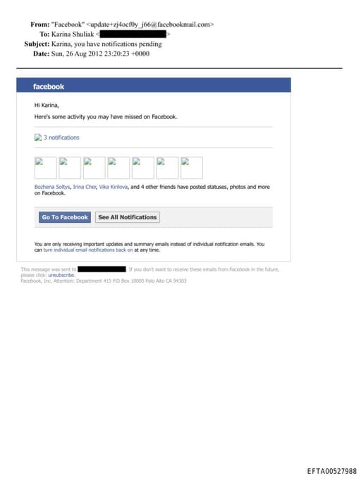 Preview of EFTA00527988