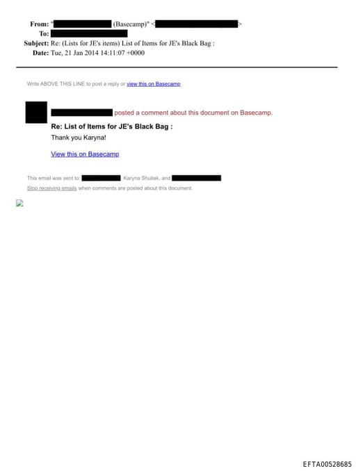 Preview of EFTA00528685