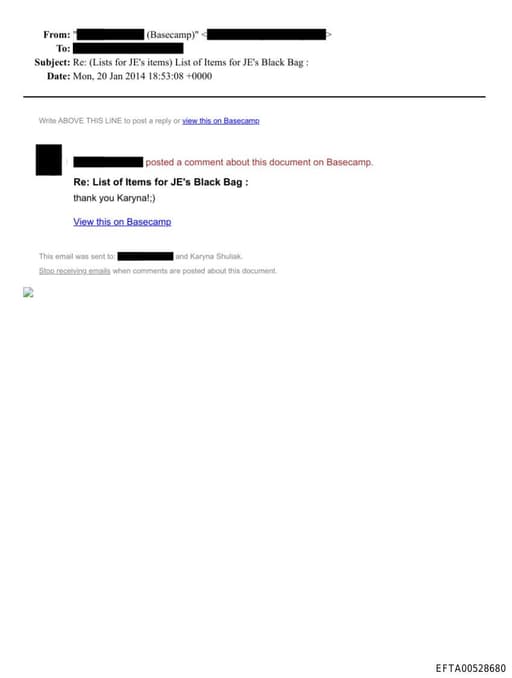 Preview of EFTA00528680