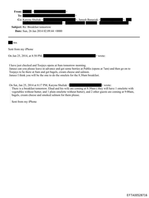 Preview of EFTA00528716