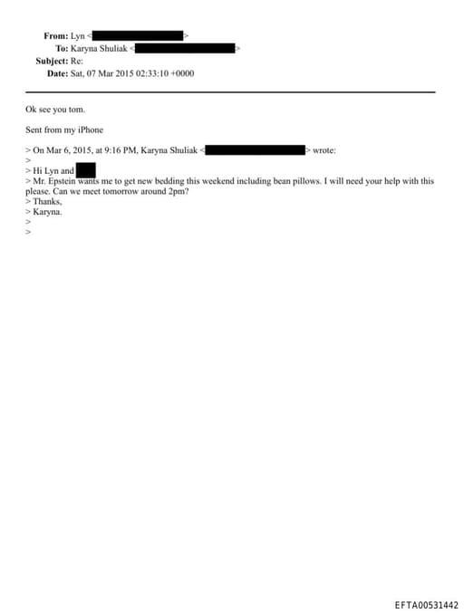 Preview of EFTA00531442