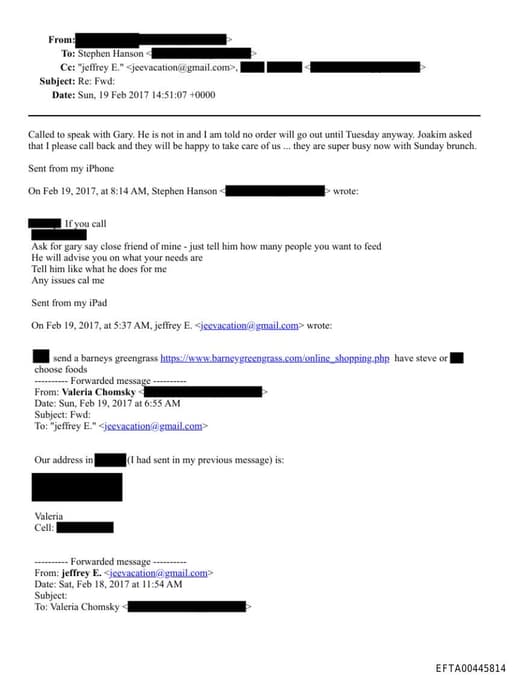 Preview of EFTA00445814