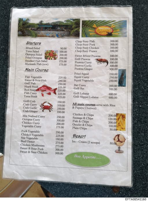 Preview of EFTA00541160