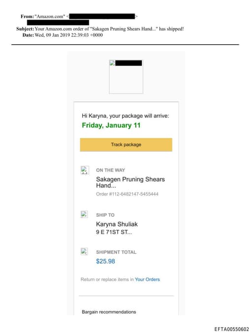 Preview of EFTA00550602