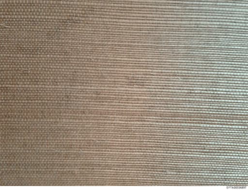 Preview of EFTA00556897