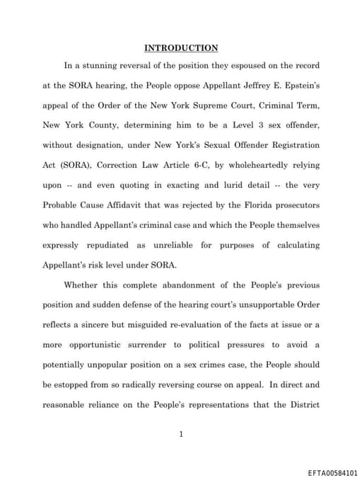 Preview of EFTA00584101