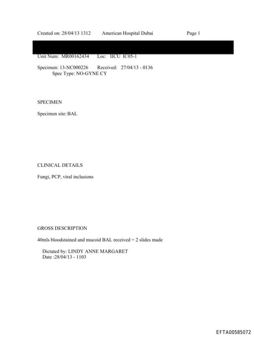 Preview of EFTA00585072