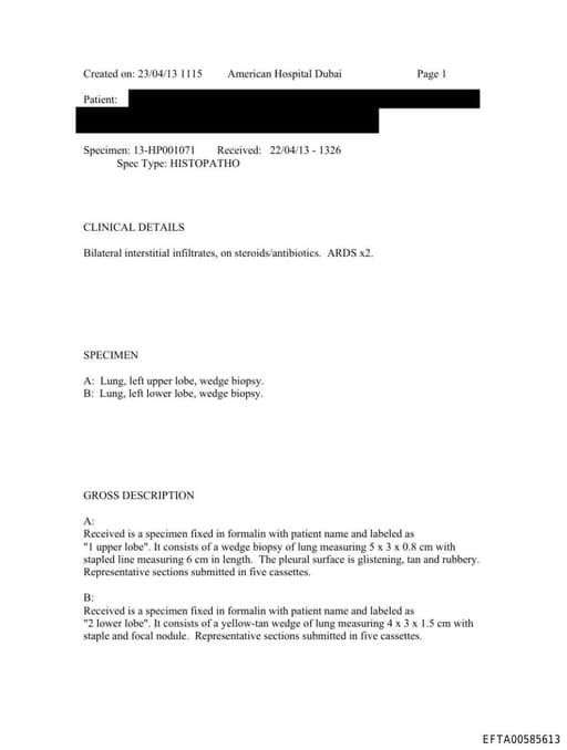 Preview of EFTA00585613