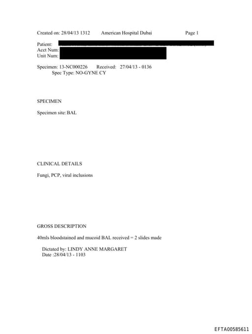 Preview of EFTA00585611