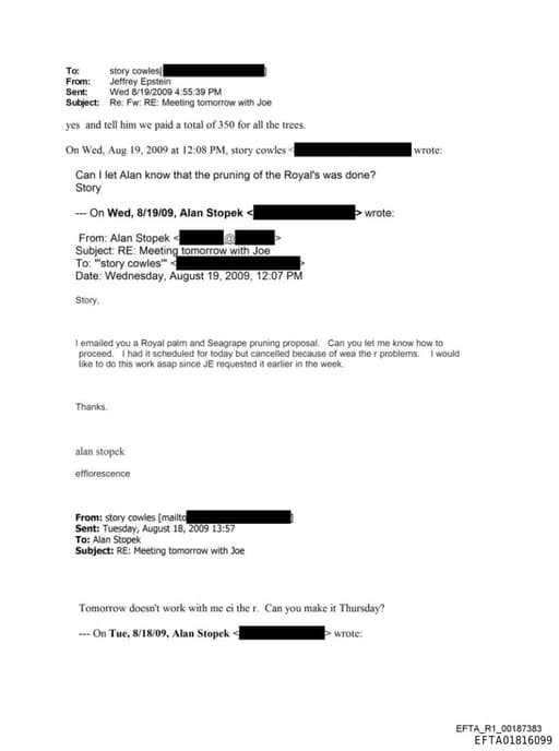 Preview of EFTA01816099