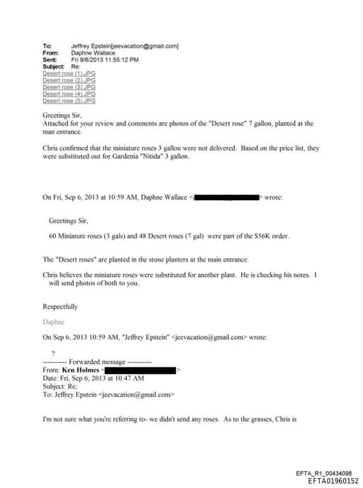 Preview of EFTA01960152