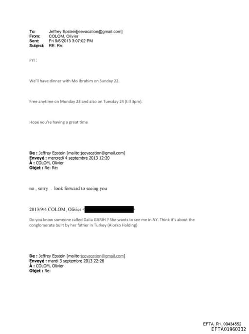 Preview of EFTA01960332