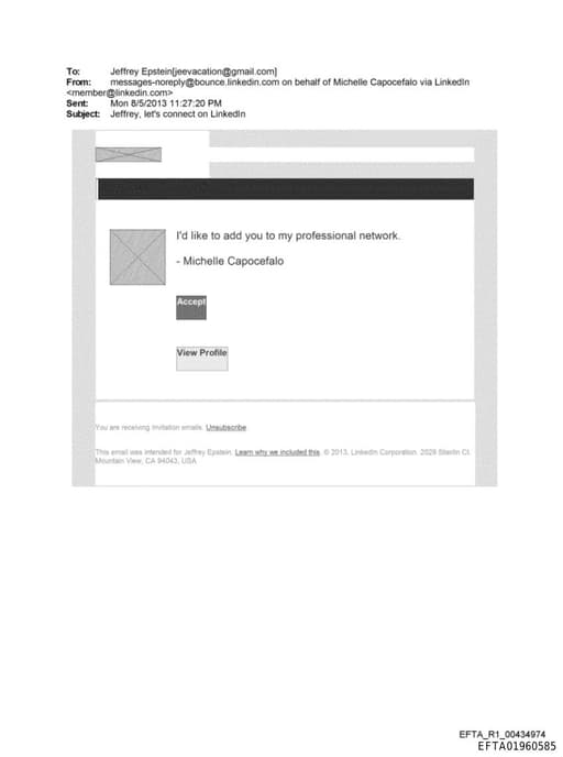 Preview of EFTA01960585