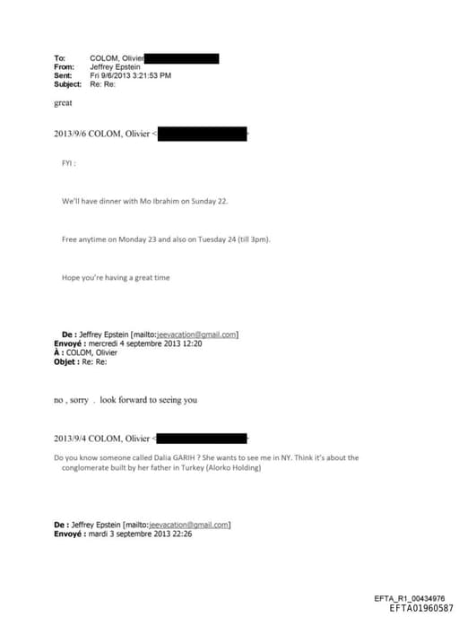 Preview of EFTA01960587