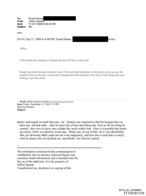 Preview of EFTA01817339