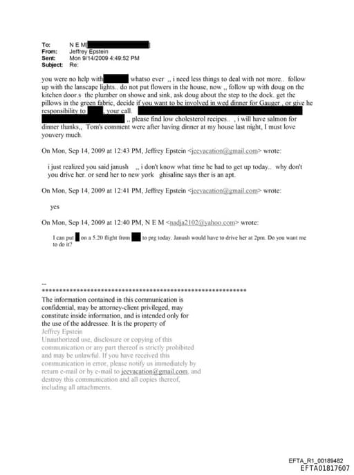 Preview of EFTA01817607