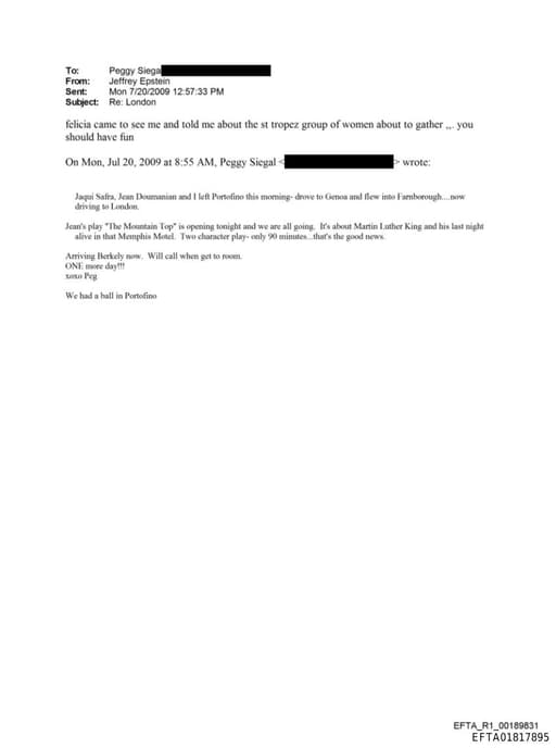 Preview of EFTA01817895