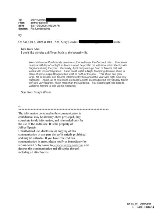 Preview of EFTA01818454