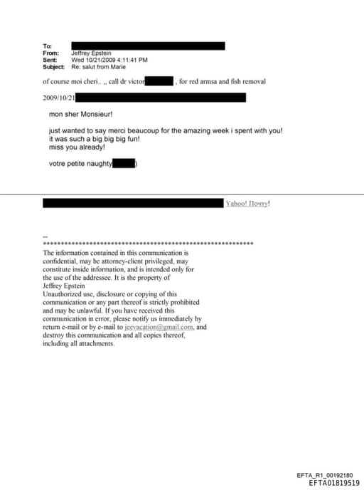 Preview of EFTA01819519