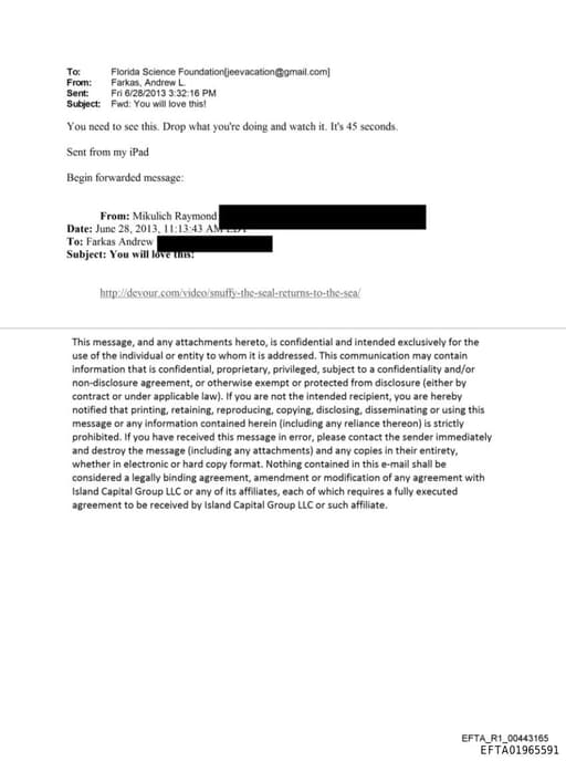 Preview of EFTA01965591