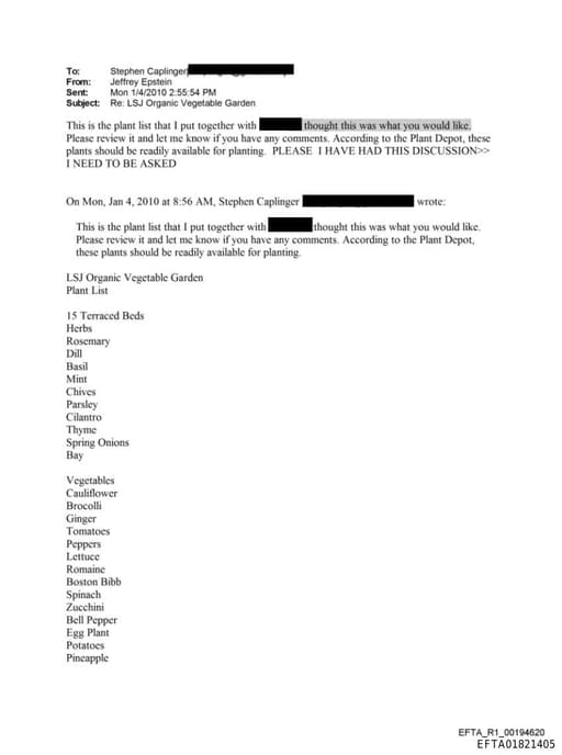 Preview of EFTA01821405