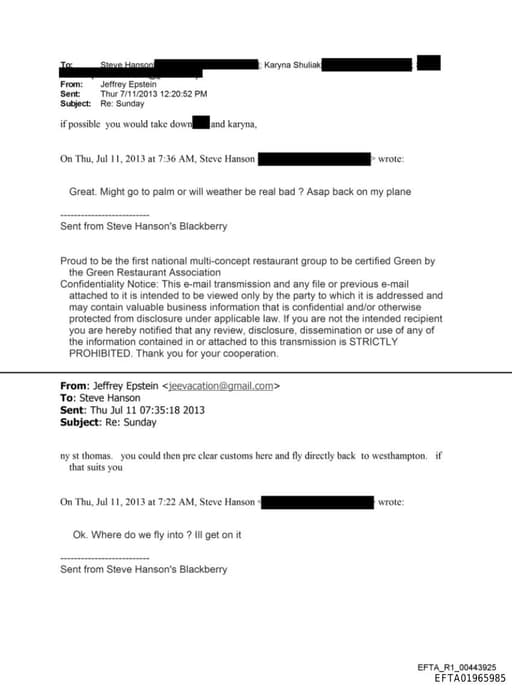 Preview of EFTA01965985