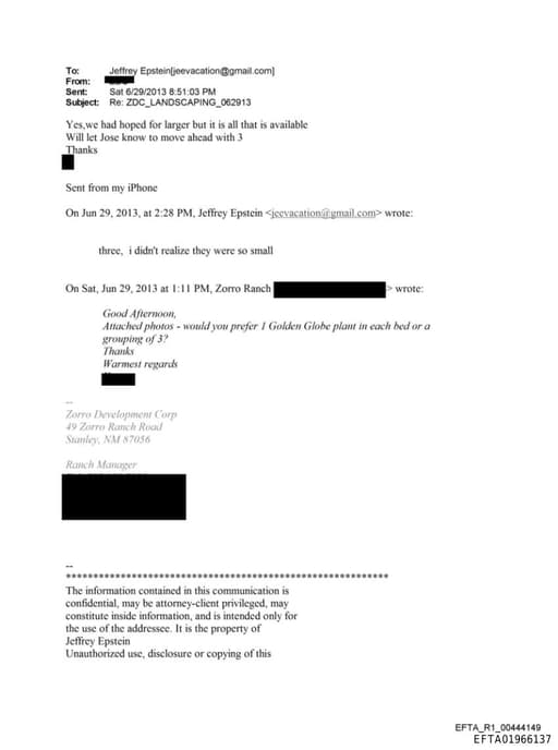 Preview of EFTA01966137