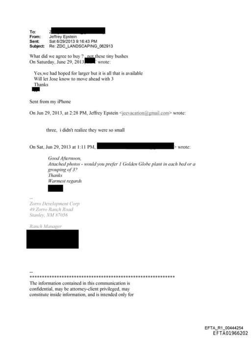 Preview of EFTA01966202