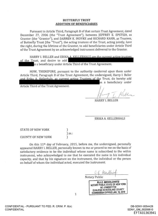 Preview of EFTA01363941