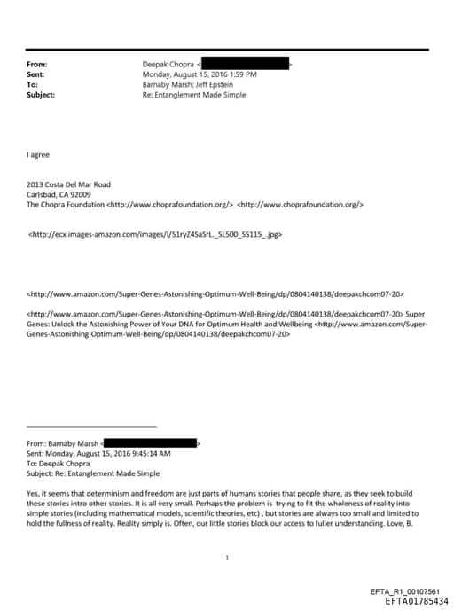 Preview of EFTA01785434