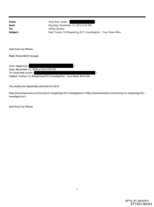 Preview of EFTA01785455