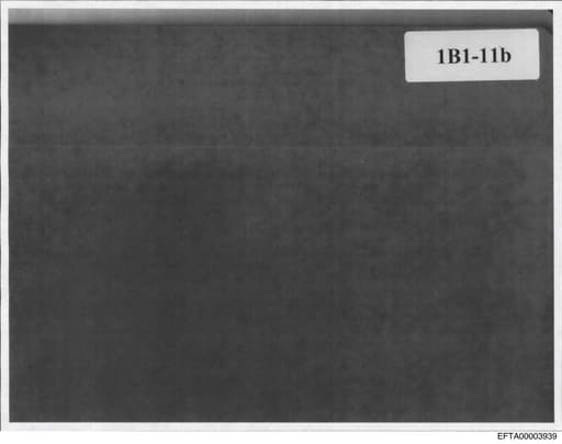 Preview of EFTA00003939
