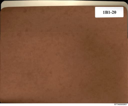 Preview of EFTA00003951