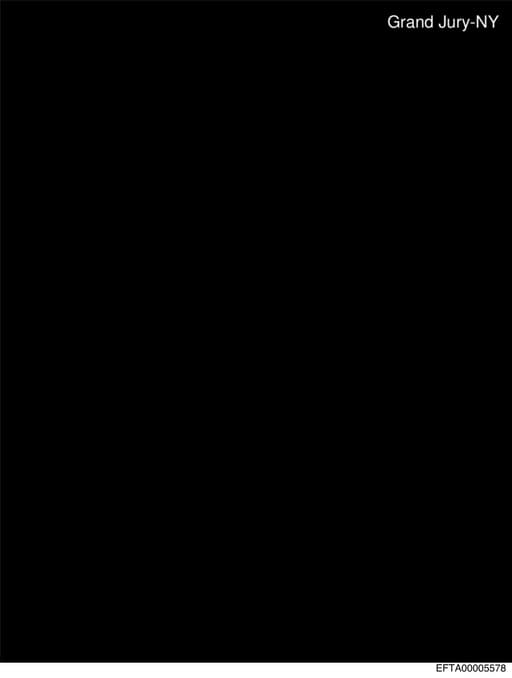 Preview of EFTA00005578