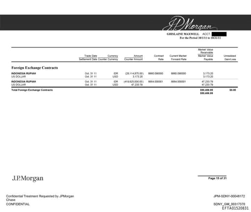 Preview of EFTA01520831