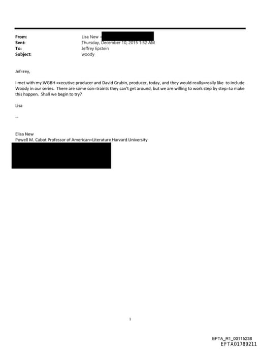 Preview of EFTA01789211