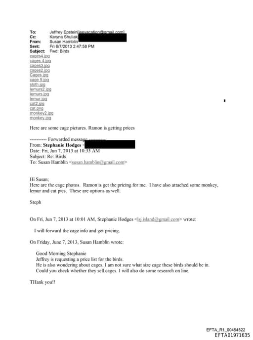 Preview of EFTA01971635